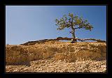 Bryce Canyon 06